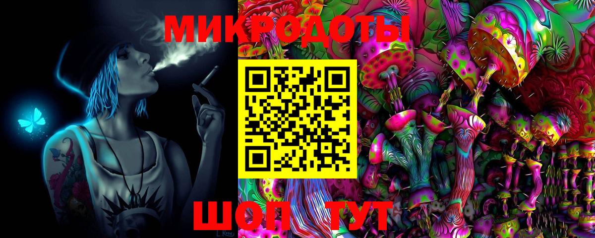Псилоцибиновые грибы Psilocybe Муравленко
