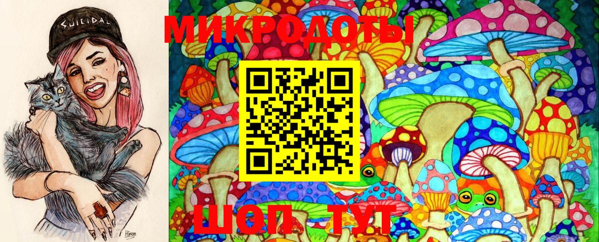 Муравленко  Галлюциногенные грибы Magic Shrooms  Псилоцибиновые грибы Psilocybine cubensis  Вход с VPN 